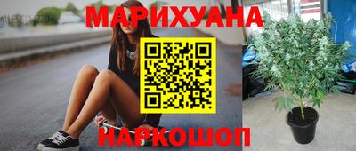 СК Славгород