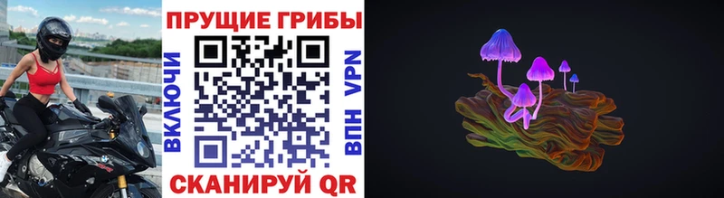 Псилоцибиновые грибы Psilocybine cubensis сайты даркнета как зайти Стрежевой
