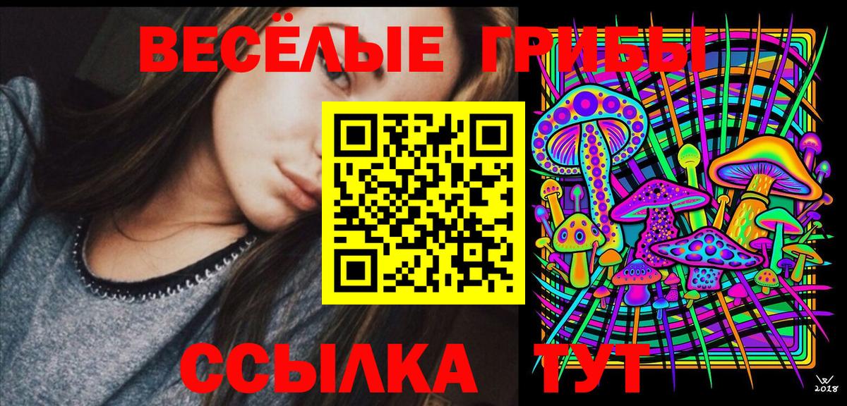 Галлюциногенные грибы GOLDEN TEACHER Стрежевой